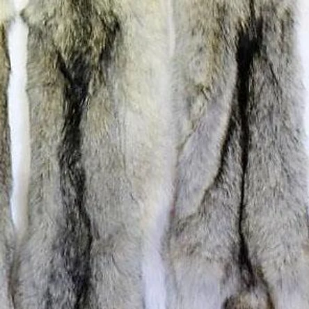 ШКУРА ВОЛКА