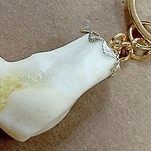 БРЕЛОК-ОБЕРЕГ «СИЛА» (из кости медведя)