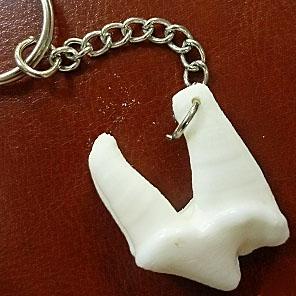 БРЕЛОК (зуб волка)