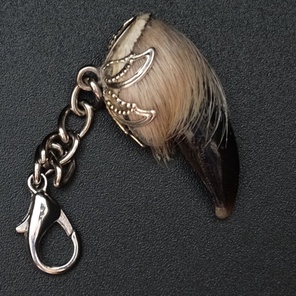 КОГОТЬ ВОЛКА