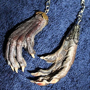 ЛАПКА ОНДАТРЫ