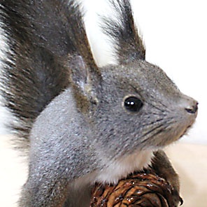 ЧУЧЕЛО БЕЛКИ (на подставке)