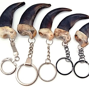 КОГОТЬ МЕДВЕДЯ МАЛЕНЬКИЙ