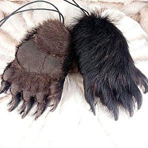 ЛАПА МЕДВЕДЯ