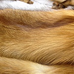 ИЗДЕЛИЯ ИЗ МЕХА