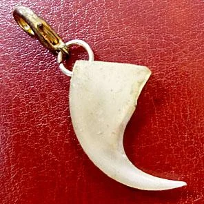 КОГОТЬ РЫСИ