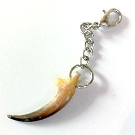 КОГОТЬ СОВЫ