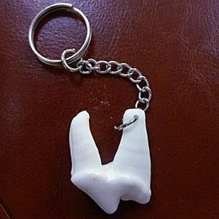 БРЕЛОК «ЗУБ ВОЛКА»