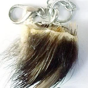 КОГОТЬ РОСОМАХИ