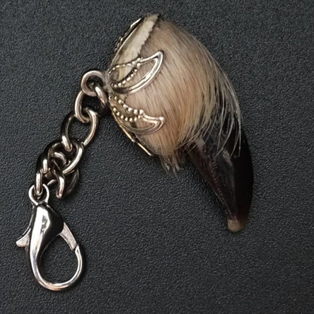 КОГОТЬ ВОЛКА