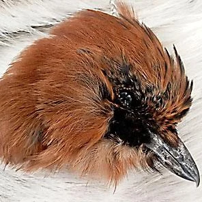 ГОЛОВА СОЙКИ