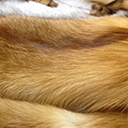 ИЗДЕЛИЯ ИЗ МЕХА