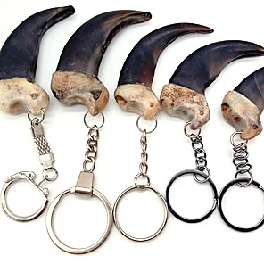 КОГОТЬ МЕДВЕДЯ МАЛЕНЬКИЙ