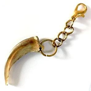 КОГОТЬ БАРСУКА