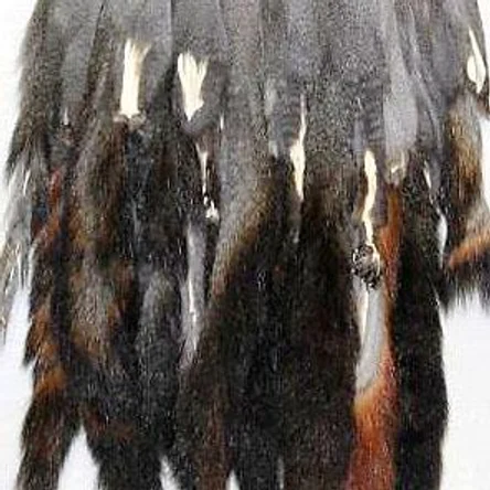 ШКУРКИ БЕЛКИ