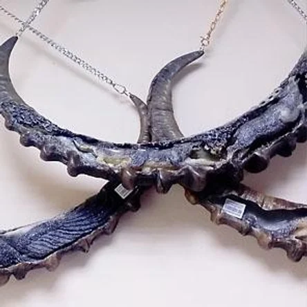 РОГ ИЗОБИЛИЯ