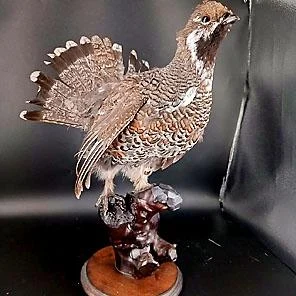 ЧУЧЕЛА ПТИЦ