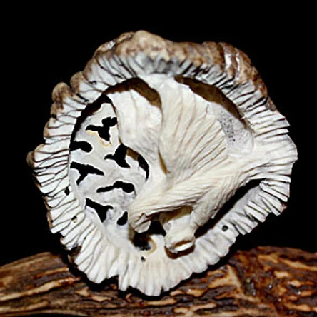 РЕЗЬБА ПО РОГУ