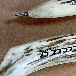 РУЧКА-МАГНИТ из рога косули