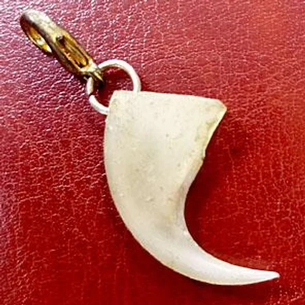 КОГОТЬ РЫСИ