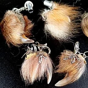 КОГОТЬ ЛИСЫ